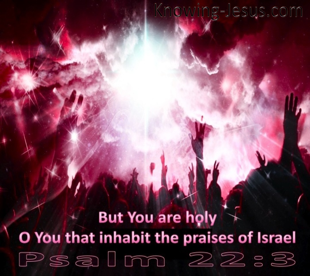 Psalm 22:3 God Inhabits The Praises Of His People (pink)